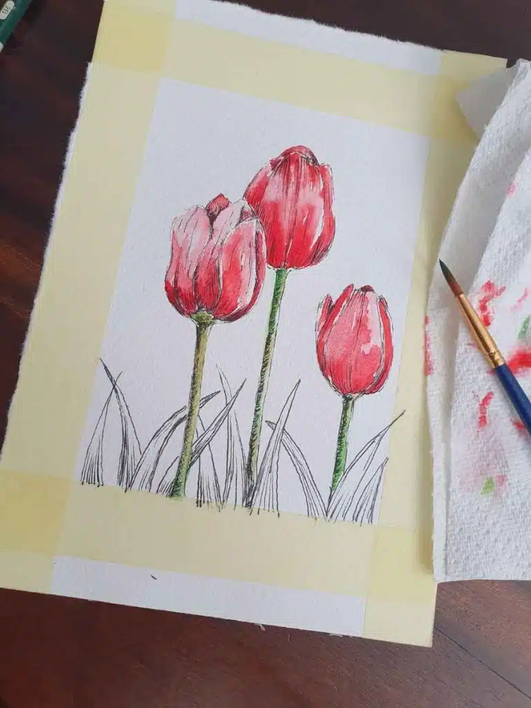 watercolor and pen tulips in red and green