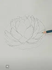 rough lotus drawing