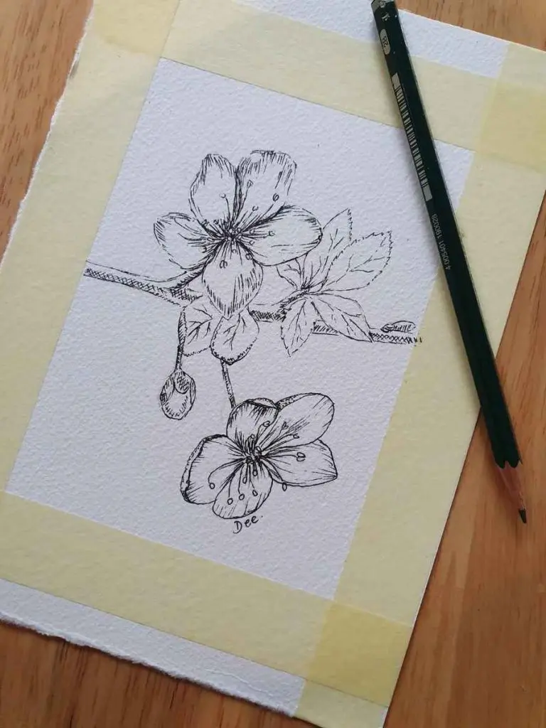 Pen Drawing of Cherry Blossoms