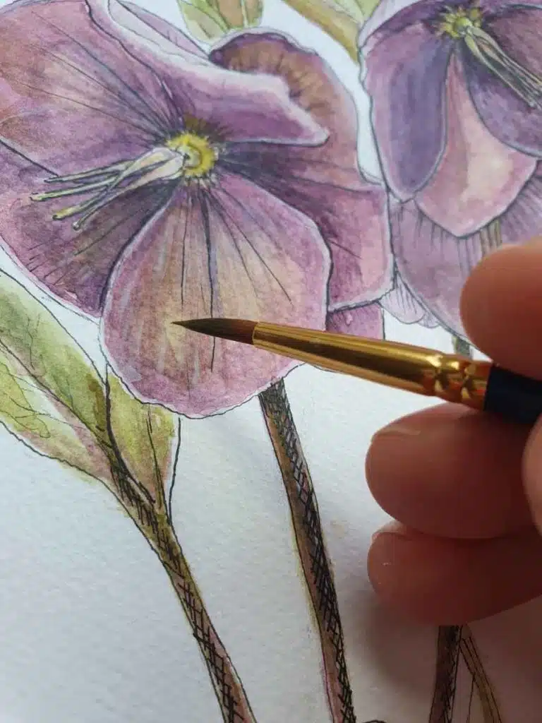 detail of a petal of a hellebore flower watercolor and pen painting