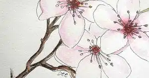 How to Paint a Gorgeous Cherry Blossom Watercolor