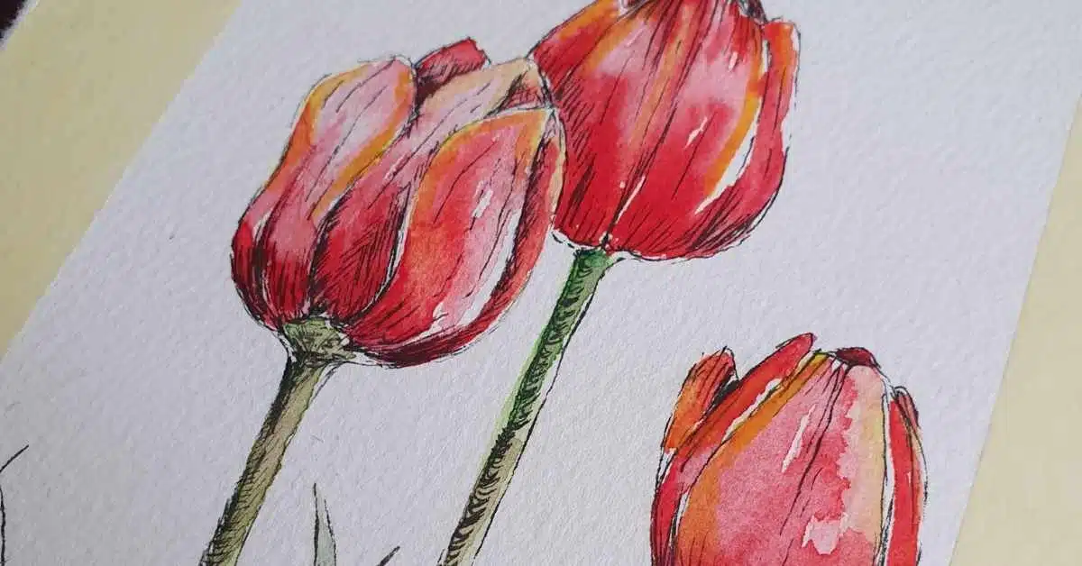 Pen and ink watercolor flowers - red tulips