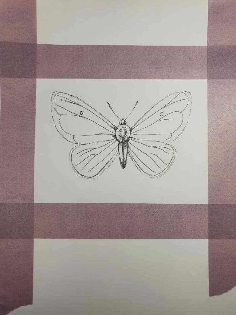 Butterfly drawing in pen
