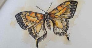 How to Draw a Butterfly - Realistic Butterfly vs. Easy Butterfly