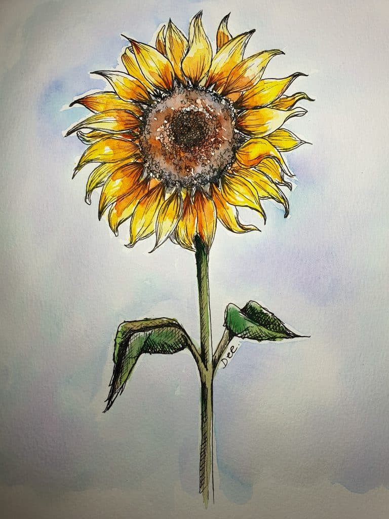 sunflower watercolor painting 