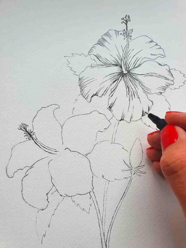 a hand holding a pen drawing a hibiscus flower drawing on white paper