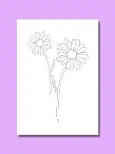 two simple daisies in black and white