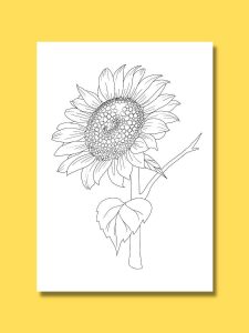 detailed sunflower printable