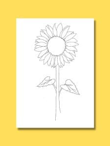 sunflower and stem