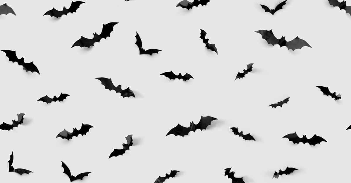 black bat template pattern on white background