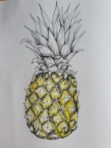 Pineapple Pen Drawing with watercolor wash