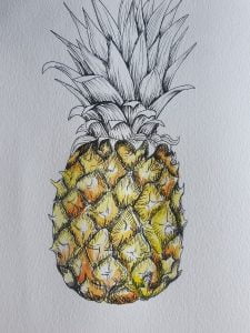 Pineapple Pen Drawing with watercolor wash