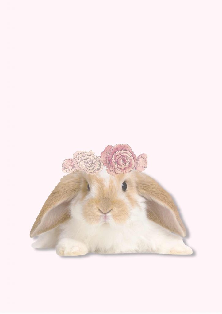 bunny with flower crown on pink background