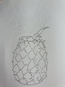 an unfinished Pen Outline of a pineapple