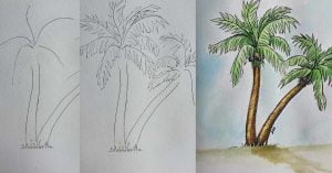 How to Draw a Palm Tree | 12 Step Palm Tree Drawing