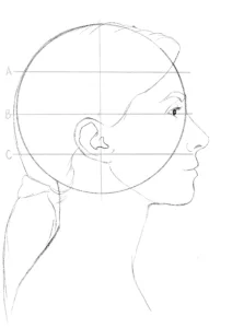 Outline of side profile drawing 