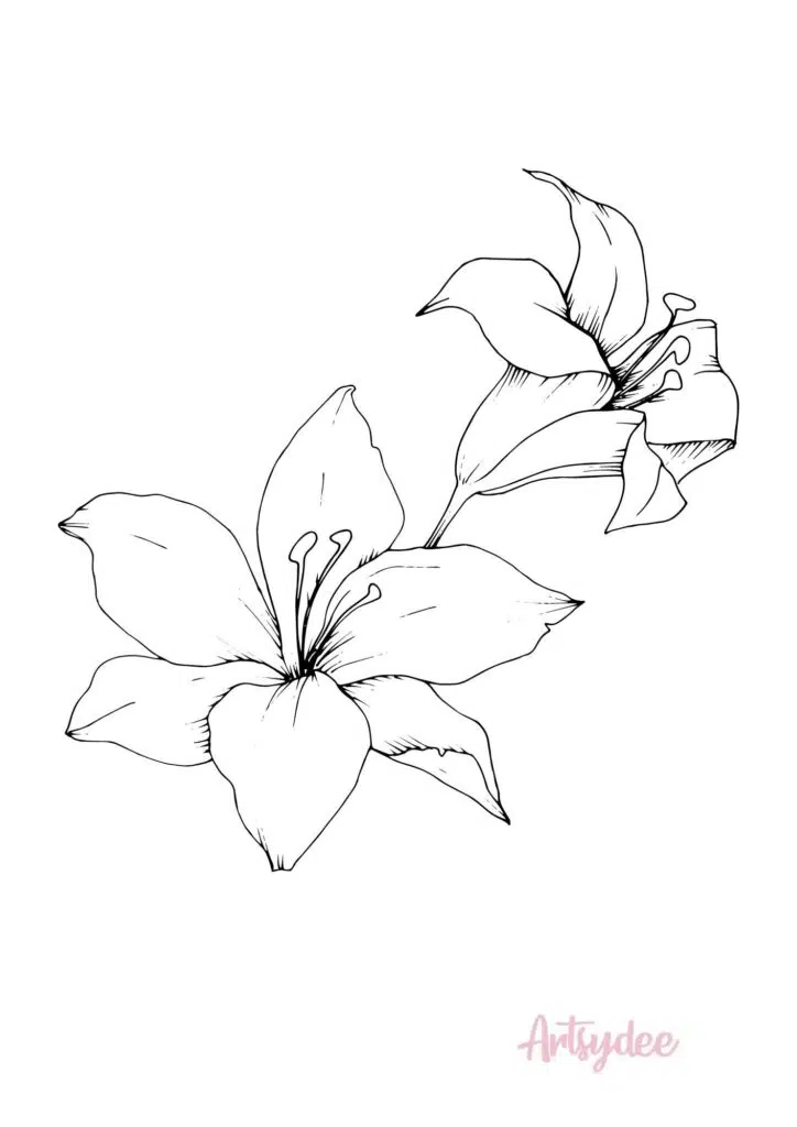 hibiscus flower template