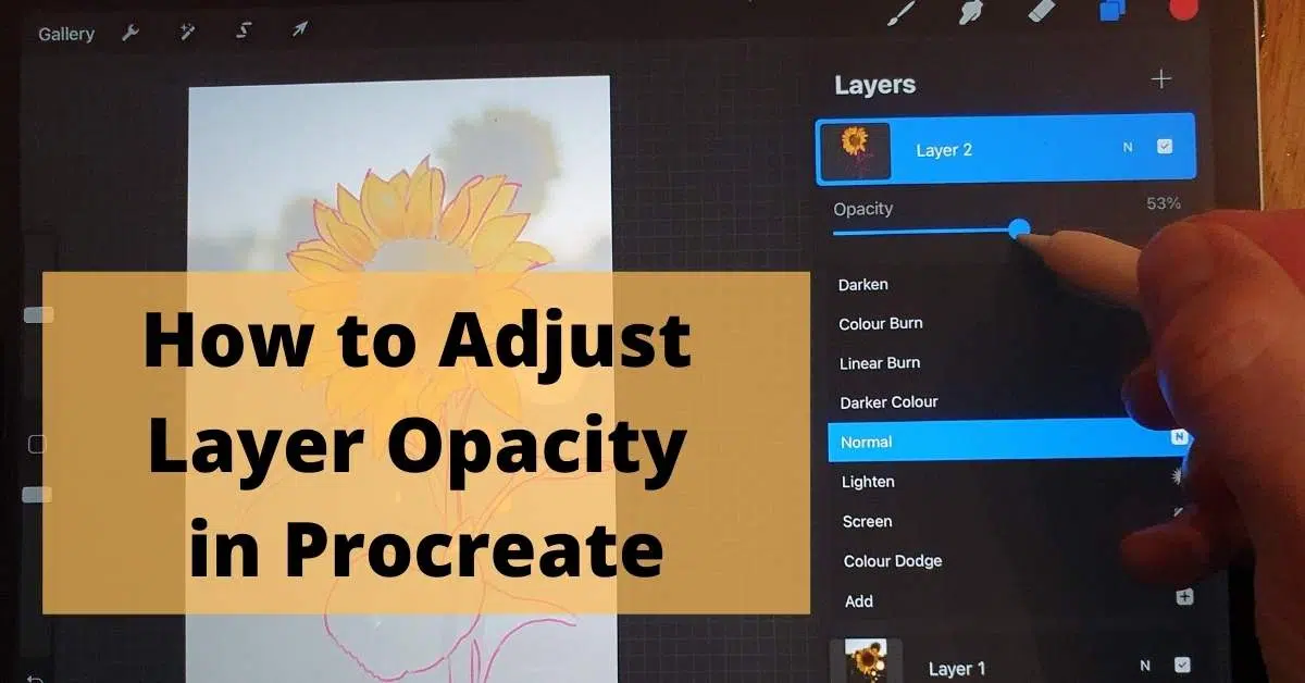 how to change the opacity of a layer in procreate featured image