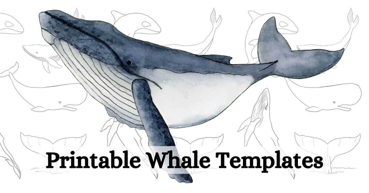 Free printable whale templates featured image
