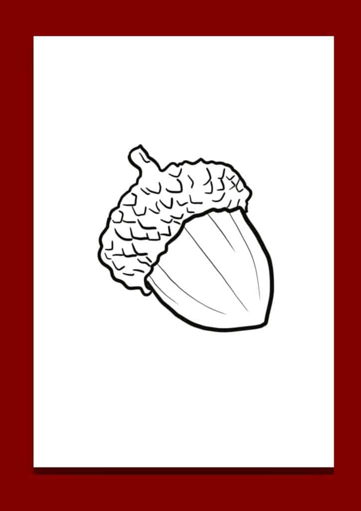 acorn template