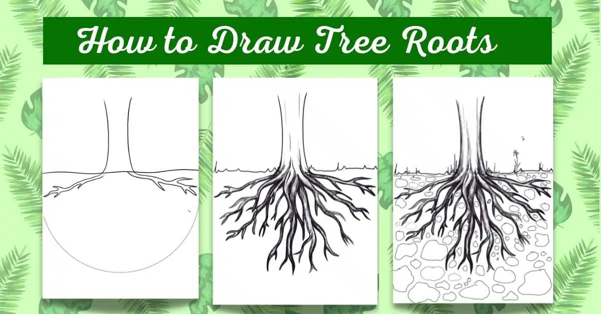 draw tree roots featured image