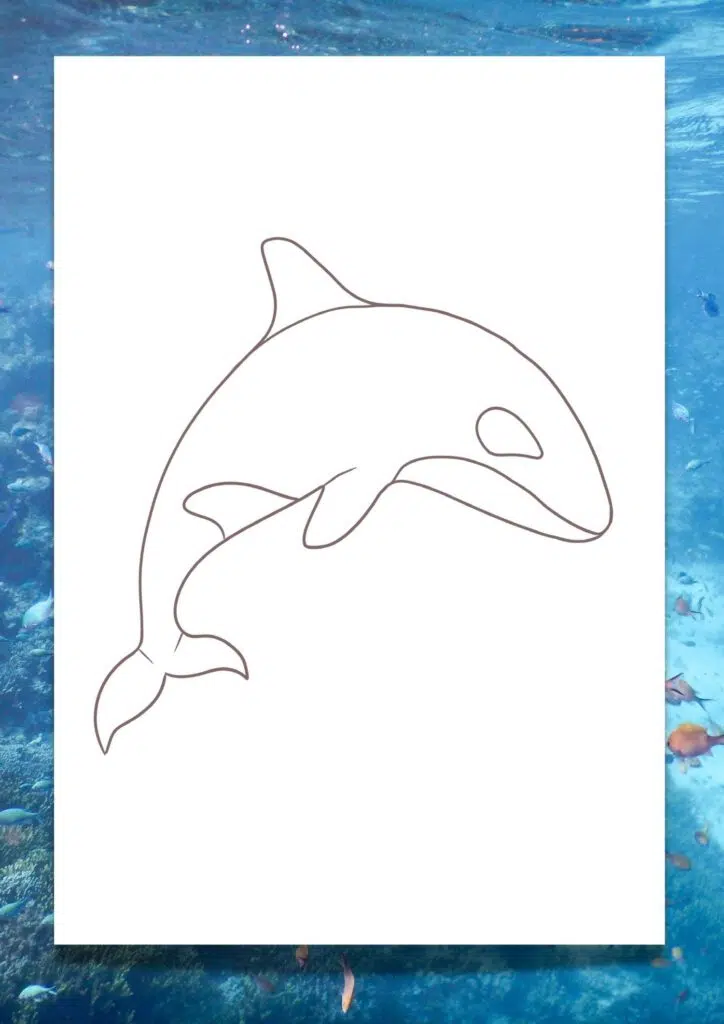 orca whale template