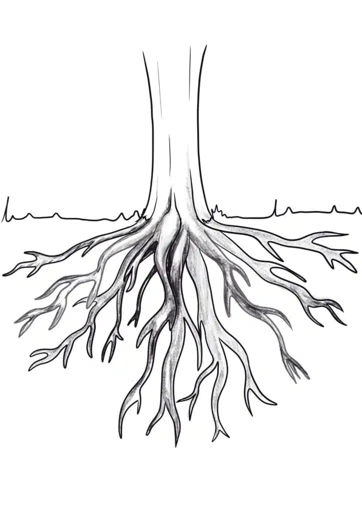 step 7 draw tree roots