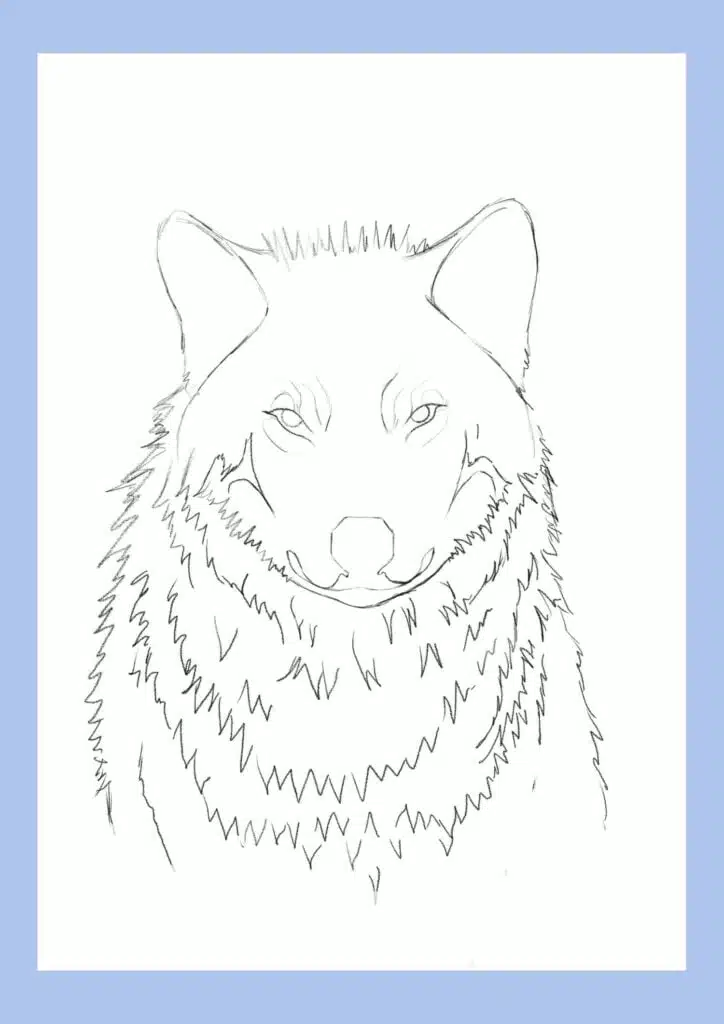 wolf drawing step 10