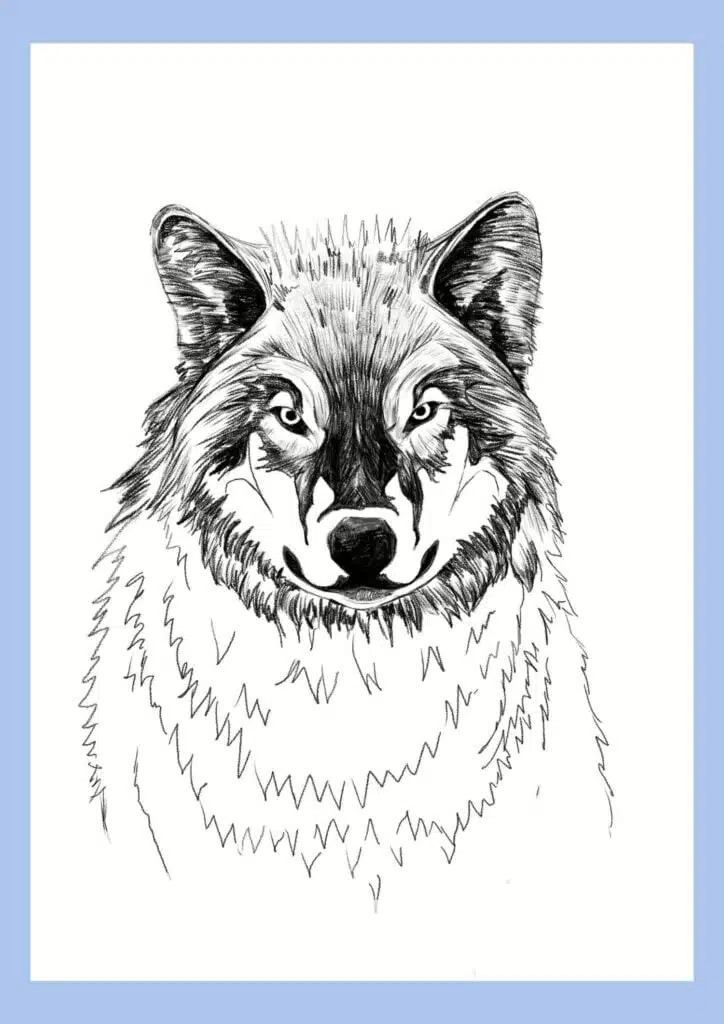 wolf drawing step 20