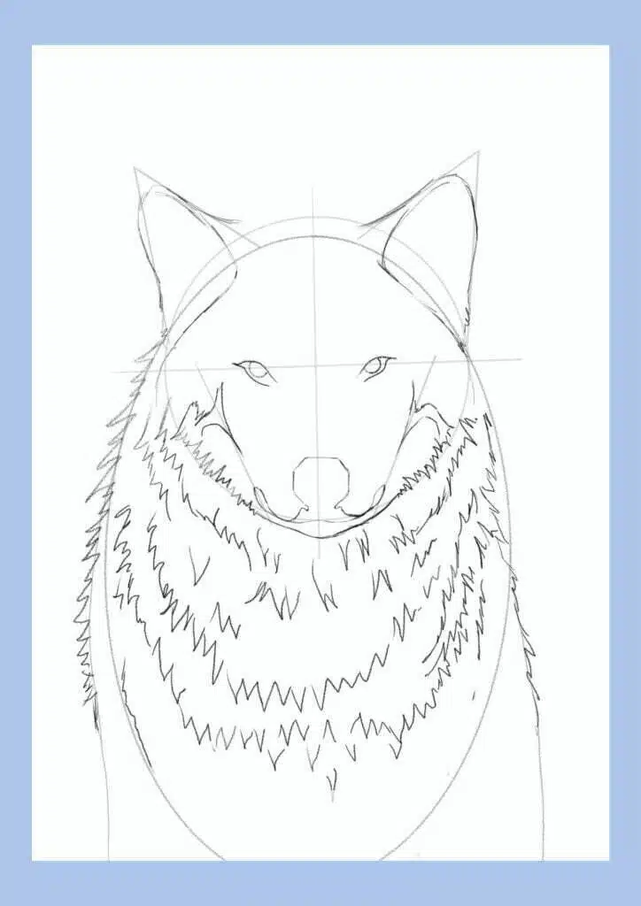 wolf drawing step 8