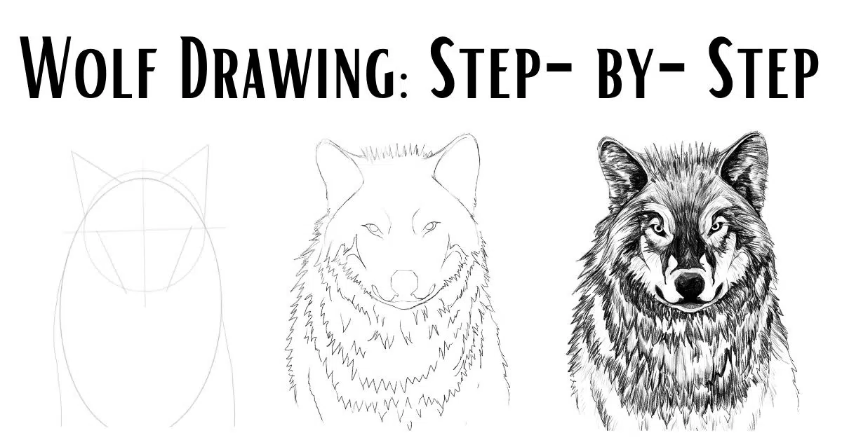 Wolf Drawing Step-by-Step featured image